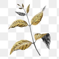 Gold leaf png sticker, aesthetic nature illustration on transparent background