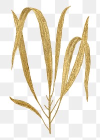 Gold leaf png sticker, aesthetic nature illustration on transparent background