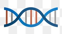 DNA double helix png sticker, transparent background