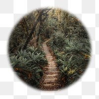 Forest pathway png badge sticker, nature photo in blur edge circle, transparent background