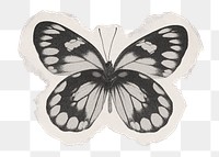 Black butterfly png sticker, ripped paper transparent background