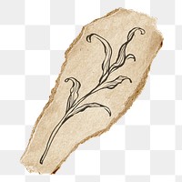 Leaf png sticker, torn paper transparent background