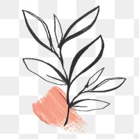 Leaf png sticker, line art design transparent background