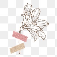 Png lily sticker, flower line art design transparent background