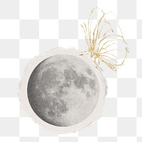 Moon butterfly png sticker, torn paper transparent background