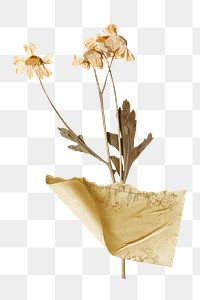 Dried flower png sticker, ripped paper design transparent background