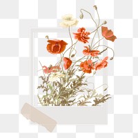 Instant photo png frame, collage art design transparent background