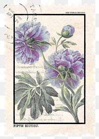 Aesthetic flower png postage stamp sticker, aesthetic illustration on transparent background