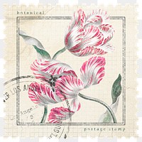 Aesthetic flower png postage stamp sticker, aesthetic illustration on transparent background