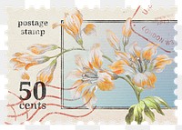 Aesthetic flower png postage stamp sticker, aesthetic illustration on transparent background