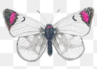 Butterfly png sticker, illustration graphic on transparent background