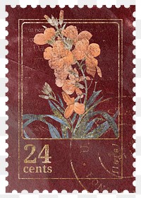 Aesthetic flower png postage stamp sticker, aesthetic illustration on transparent background