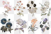 Flower png sticker, illustration on transparent background set