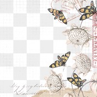 Png flower and butterfly border frame, vintage illustration, transparent background