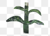 Green botanical png shape sticker, nature paper collage element, transparent background