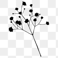 Flower silhouette png, gypsophila branch clipart, transparent background