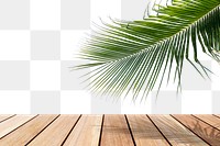 Wooden table png border, palm leaf on transparent background