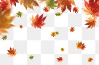 Autumn leaves png border, transparent background