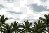 Tropical sky png, palm jungle border, transparent background