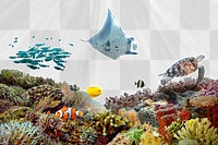 Coral reef png transparent background, sea animals swimming