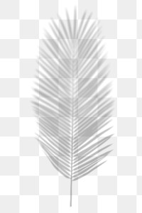 Palm leaf png shadow sticker, tropical image on transparent background