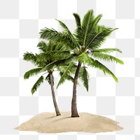 Tropical island png sticker, palm trees on transparent background