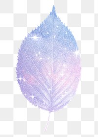 Pink holographic png leaf sticker, aesthetic plant on transparent background