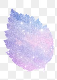 Pink holographic png leaf sticker, aesthetic plant on transparent background