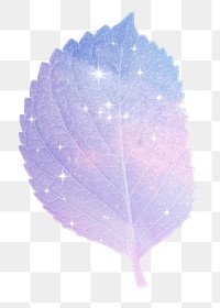 Pink holographic png leaf sticker, aesthetic plant on transparent background