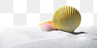 Shell on sand png border, transparent background