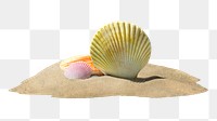 Png shell on sand sticker, creative summer travel concept art, transparent background