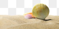 Shell on sand png border, transparent background