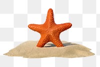 Starfish png sand sticker, creative summer travel concept art, transparent background