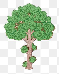 Green tree png sticker, vintage botanical illustration, transparent background