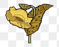 Yellow flower png sticker, transparent background