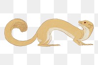 Weasel png sticker, vintage animal, transparent background