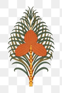 Exotic plant png sticker, transparent background