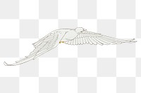 Flying dove png bird sticker, vintage animal illustration, transparent background