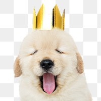 Cute puppy png animal sticker, transparent background