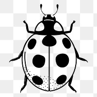 Ladybug png doodle sticker, black & white illustration, transparent background