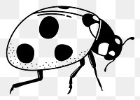 Ladybug png doodle sticker, black & white illustration, transparent background