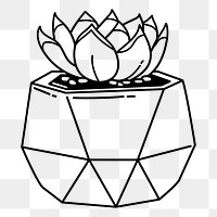 Succulent png doodle sticker, black & white illustration, transparent background