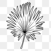 Fan palm leaf png doodle sticker, black & white illustration, transparent background