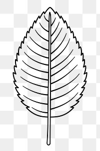 Leaf png doodle sticker, black & white illustration, transparent background