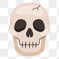 Skull png sticker, cute illustration, transparent background