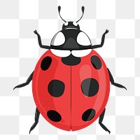 Ladybug png sticker, cute illustration, transparent background