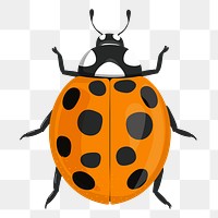 Ladybug png sticker, cute illustration, transparent background