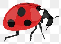 Ladybug png sticker, cute illustration, transparent background