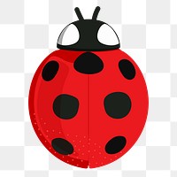 Ladybug png sticker, cute illustration, transparent background