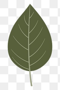 Leaf png sticker, cute illustration, transparent background